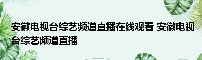 安徽电视台综艺频道直播在线观看 安徽电视台综艺频道直播