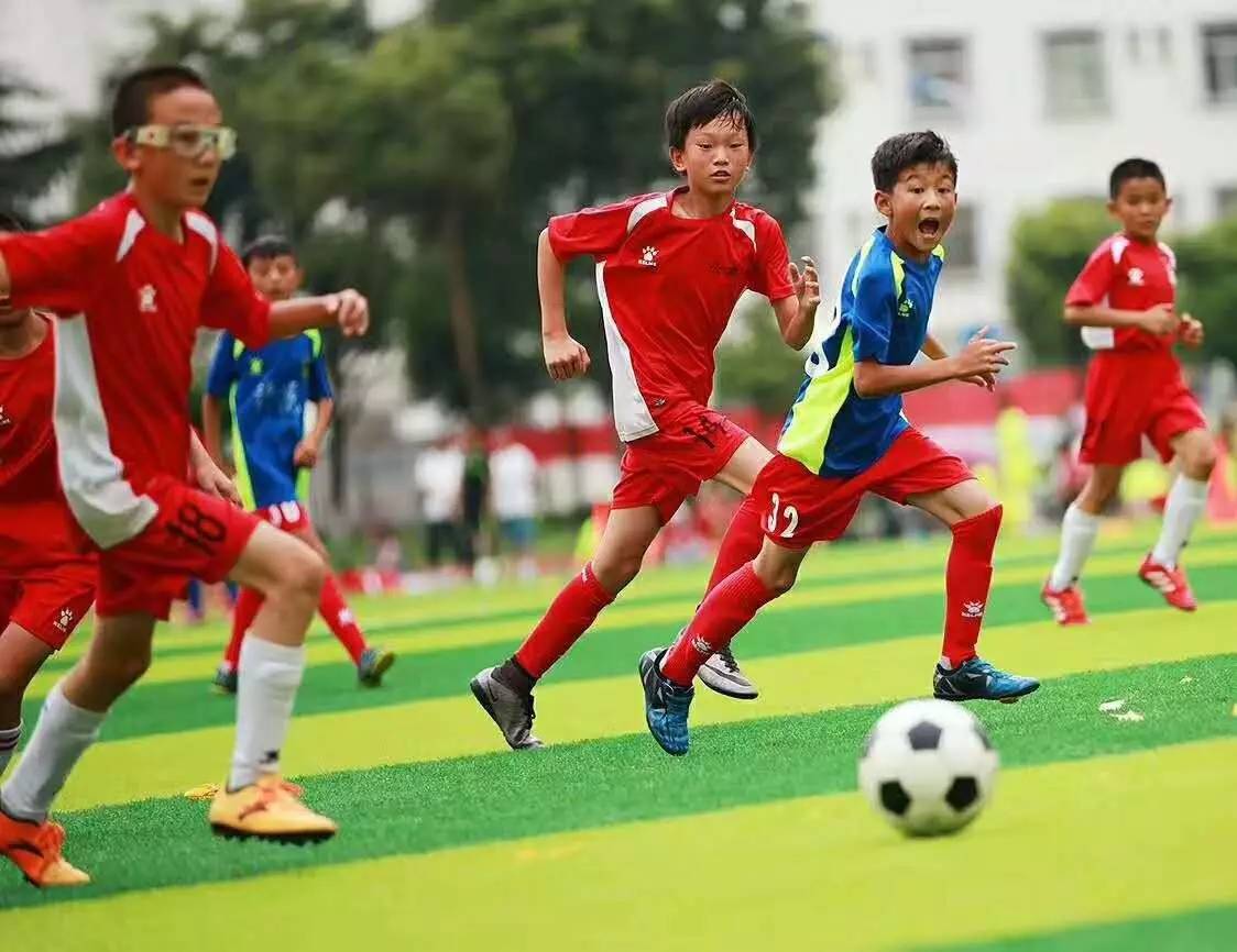 世界杯2019，成都乒乓球世界杯2019